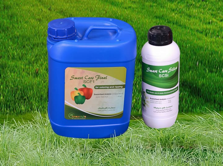 سمارت كير فاينال